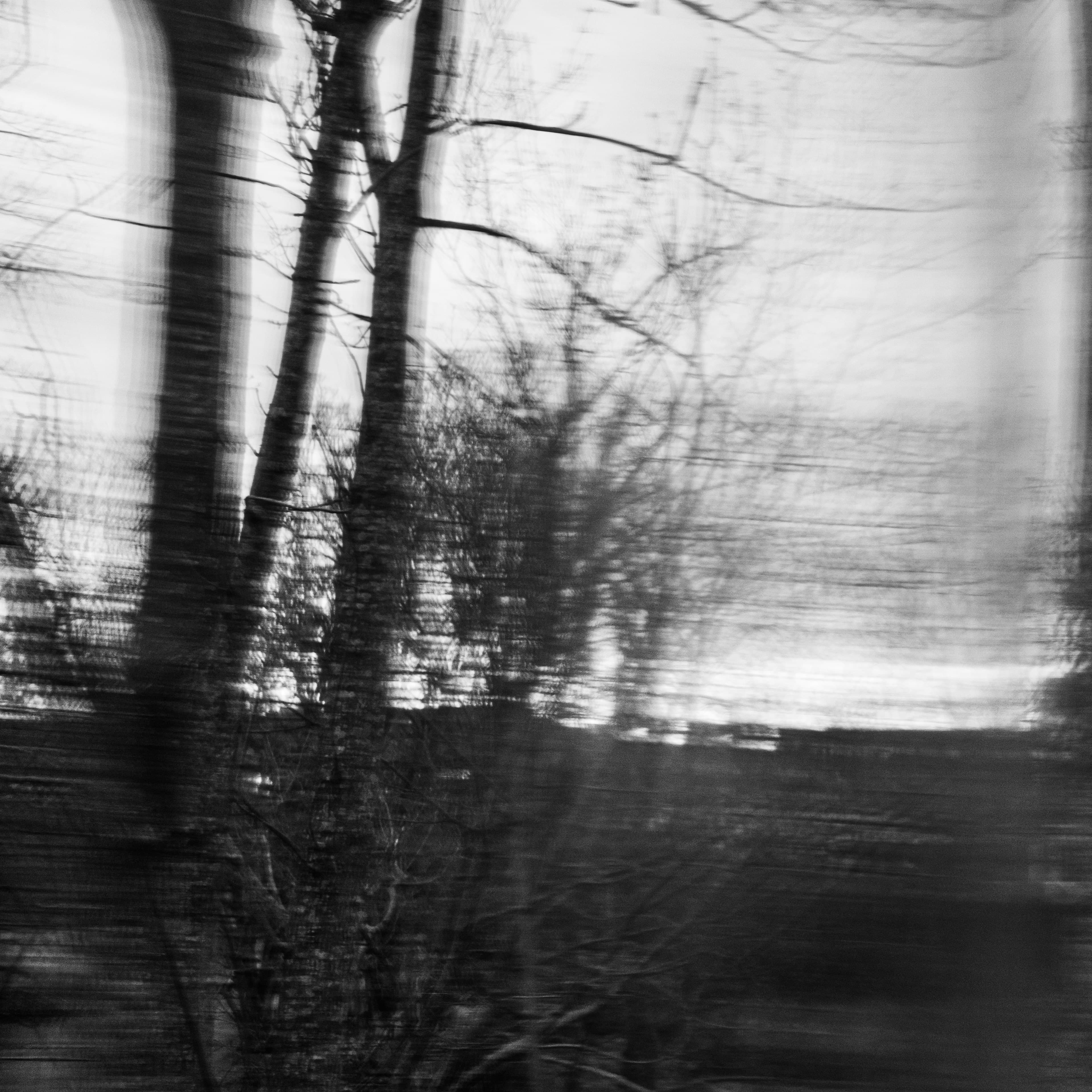 Fine-Art 163