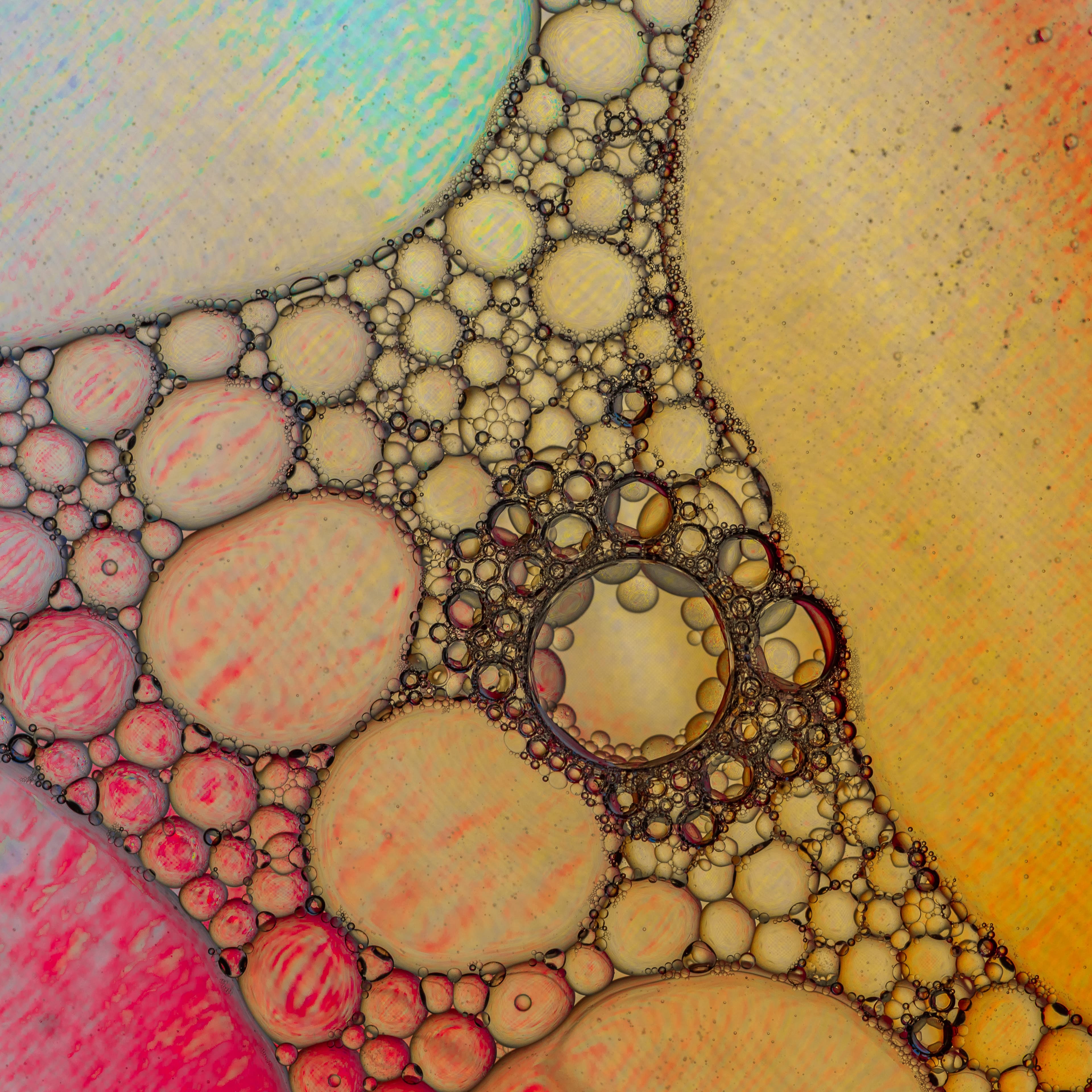 Fine-Art 17