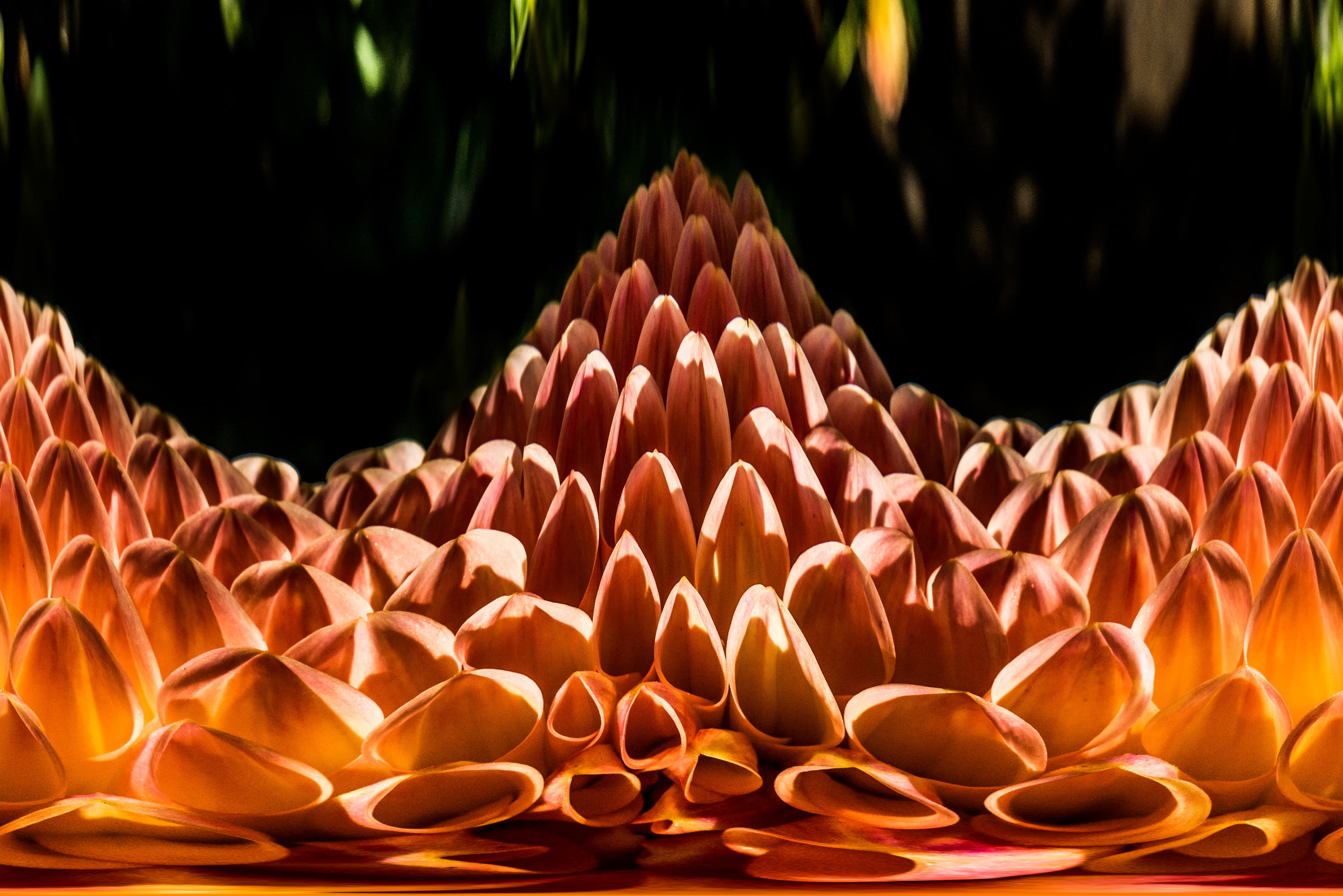 Abstract fine-art photograph by Roger Pettersen