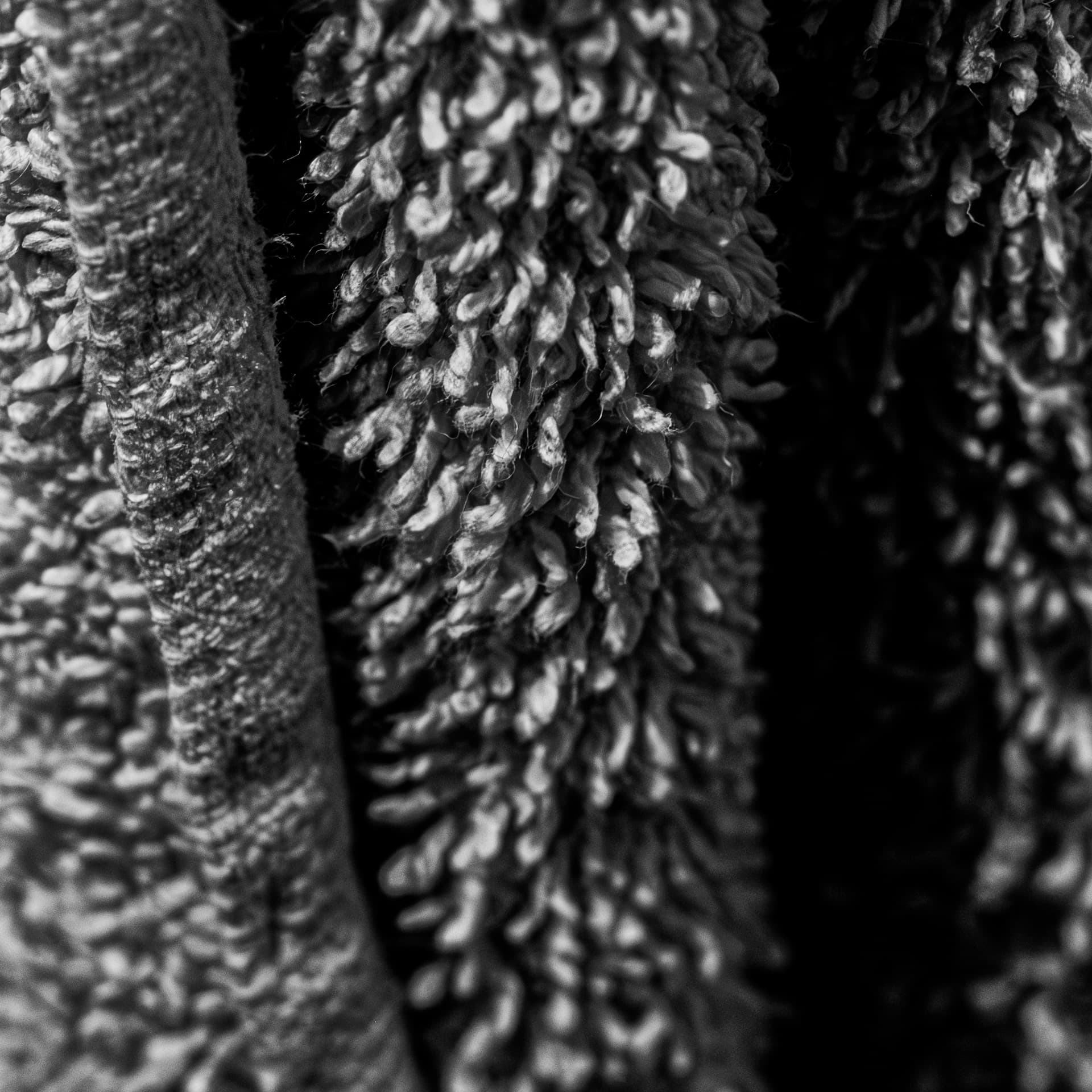 Fine-Art 23