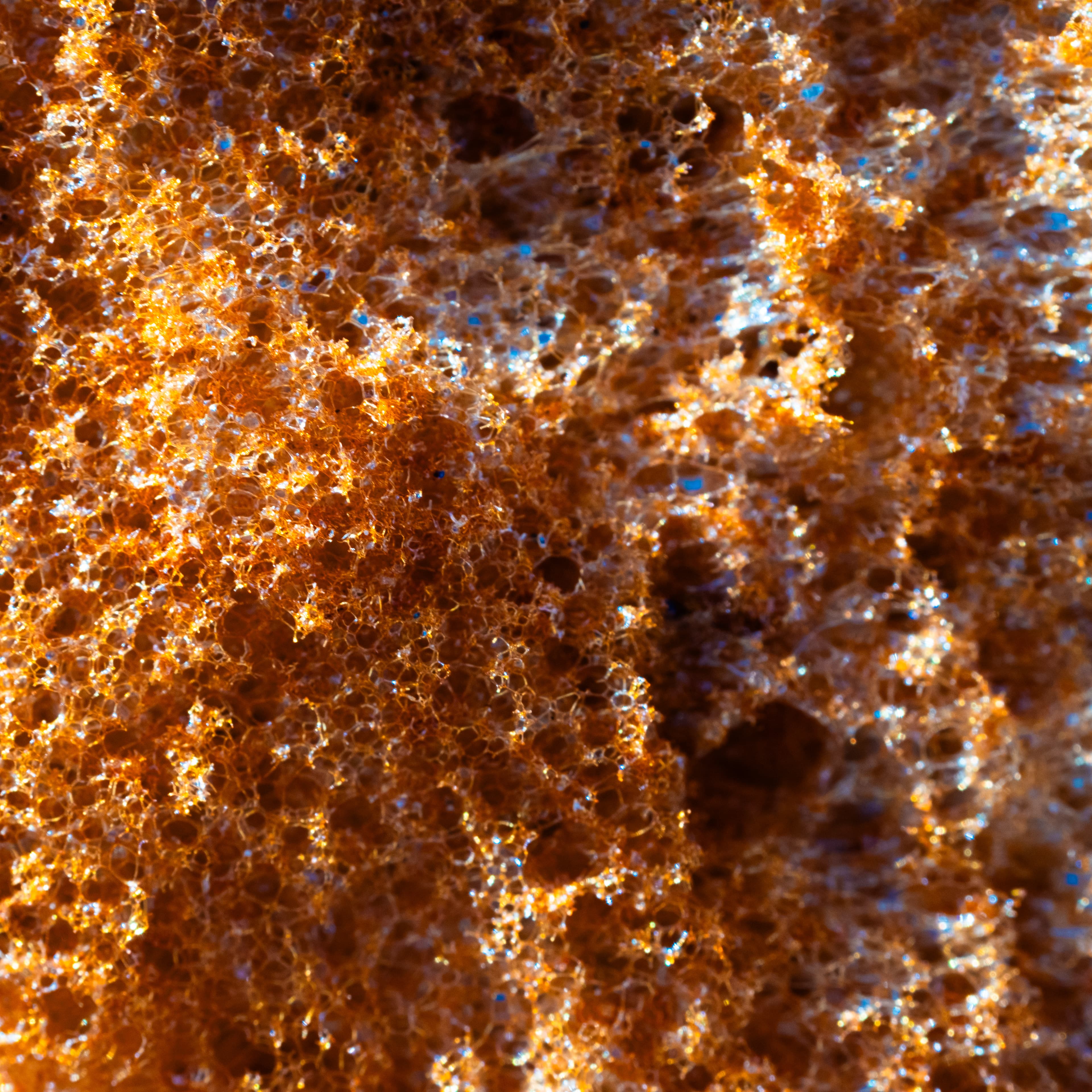 Fine-Art 99