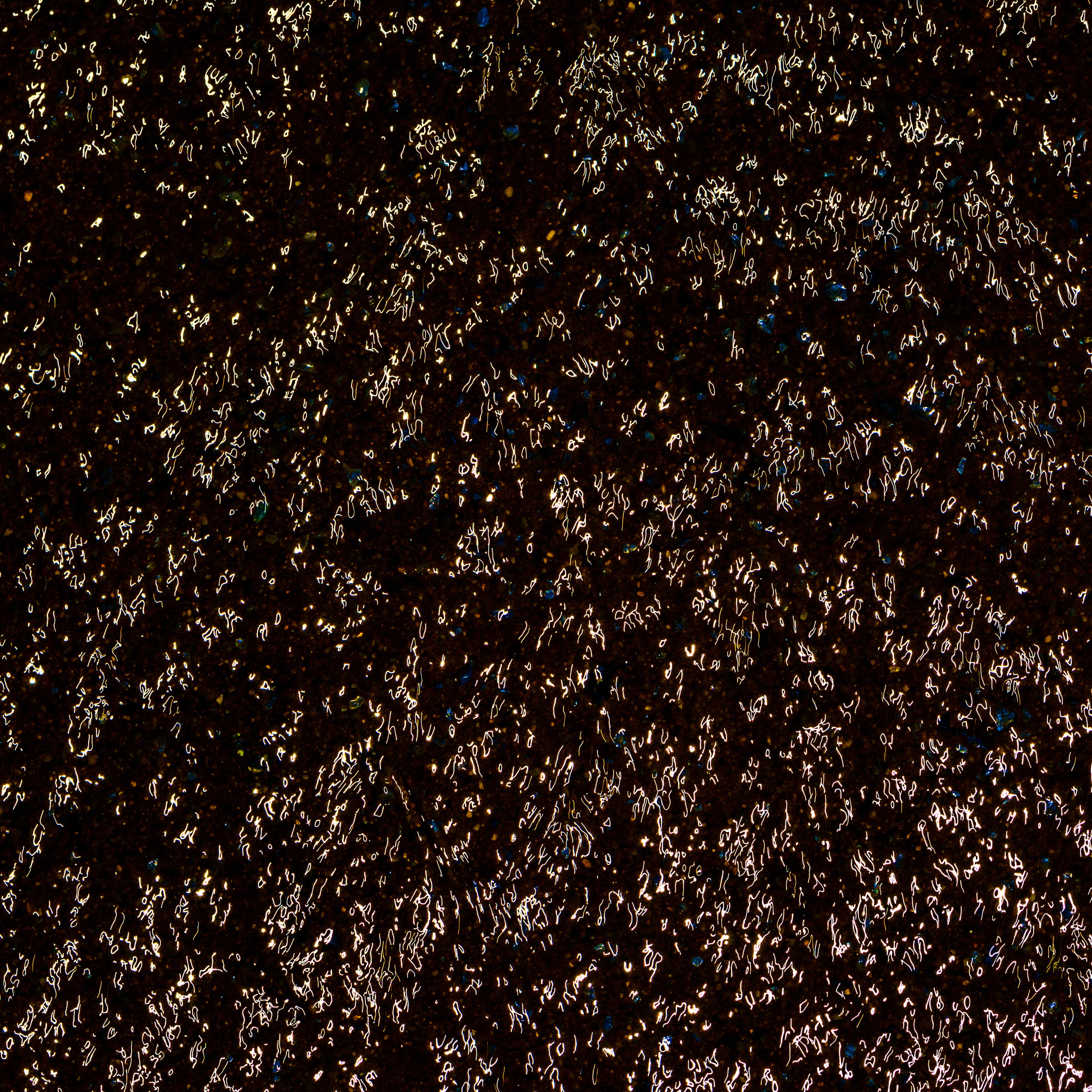 Fine-Art 109