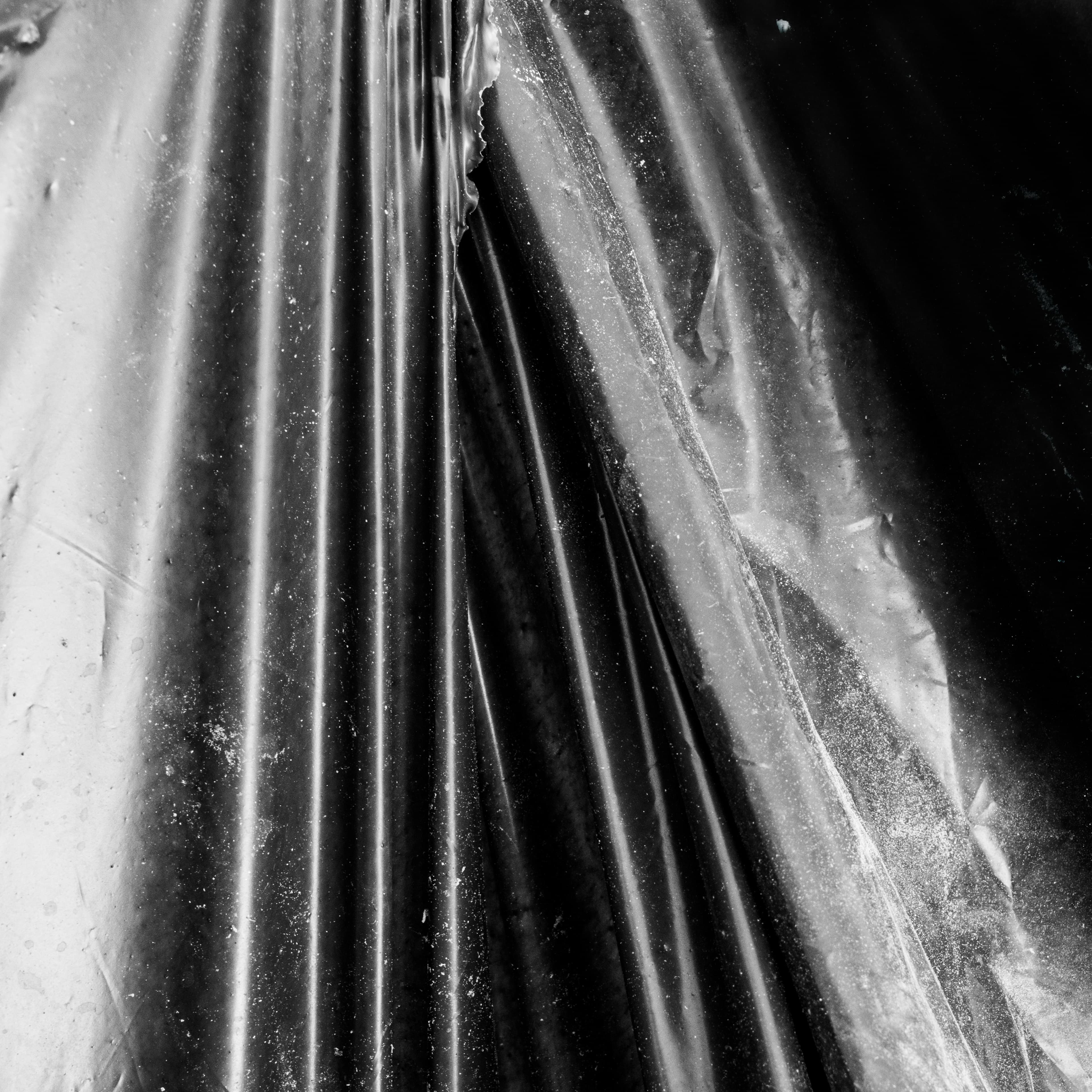 Fine-Art 50