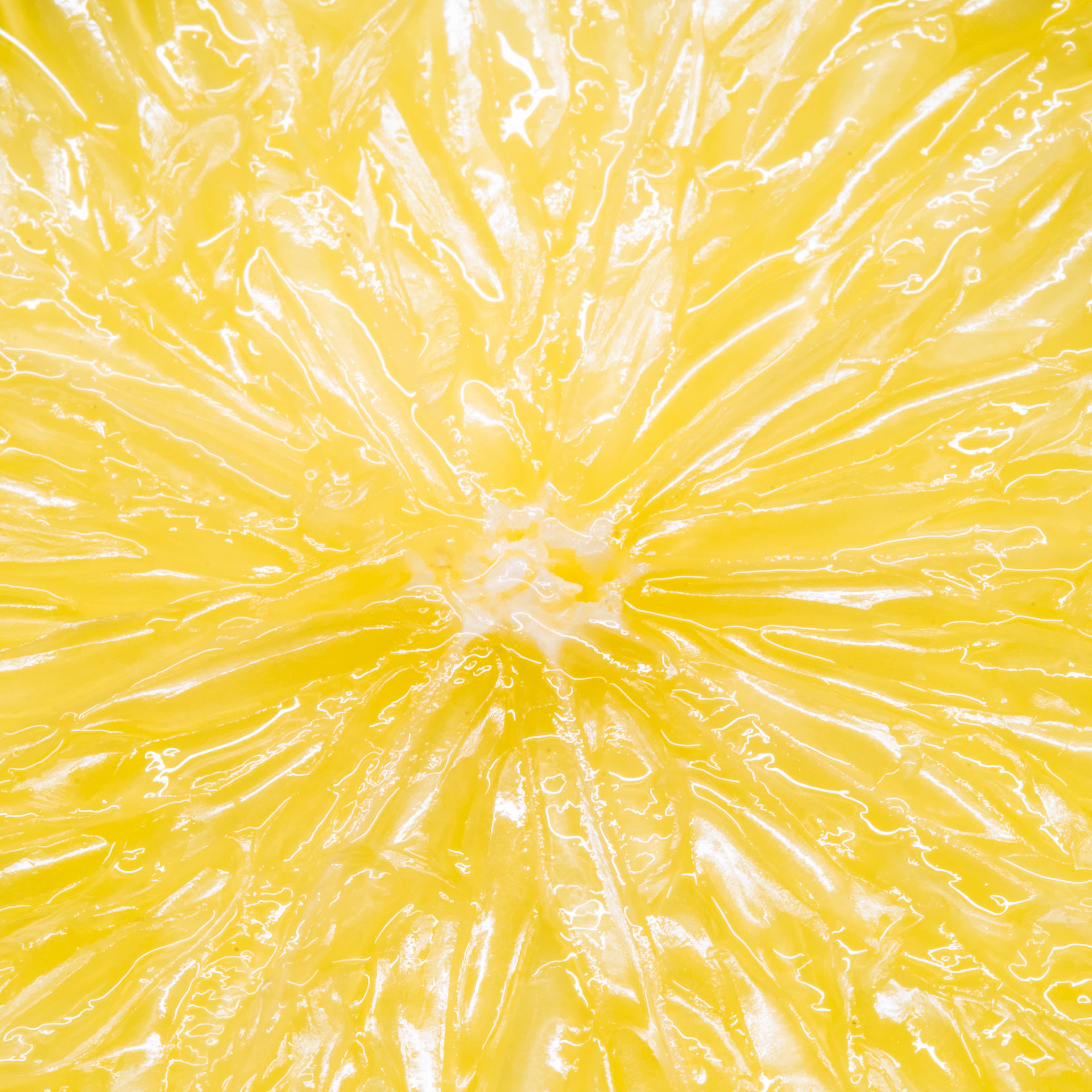 Fine-Art 117