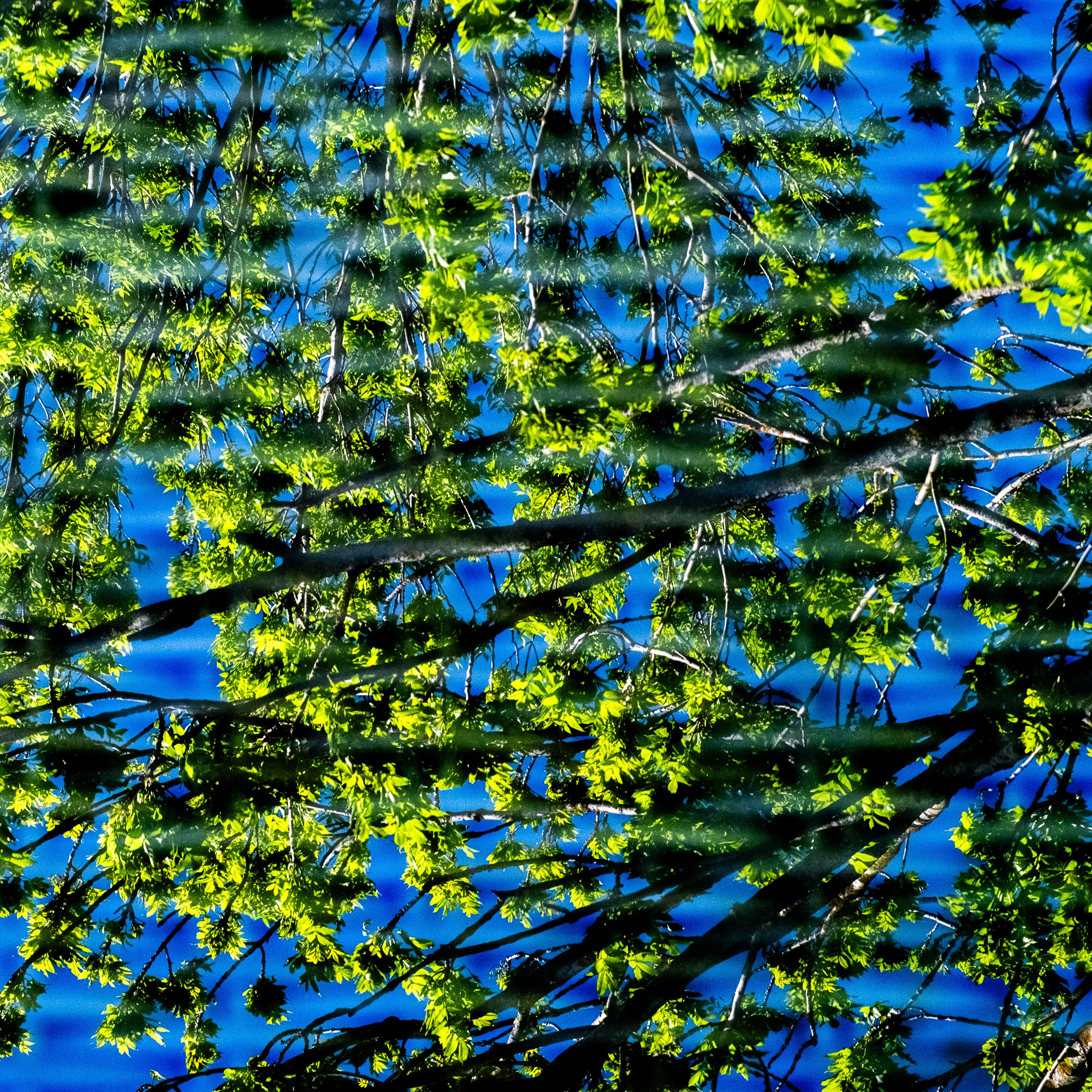 Fine-Art 60