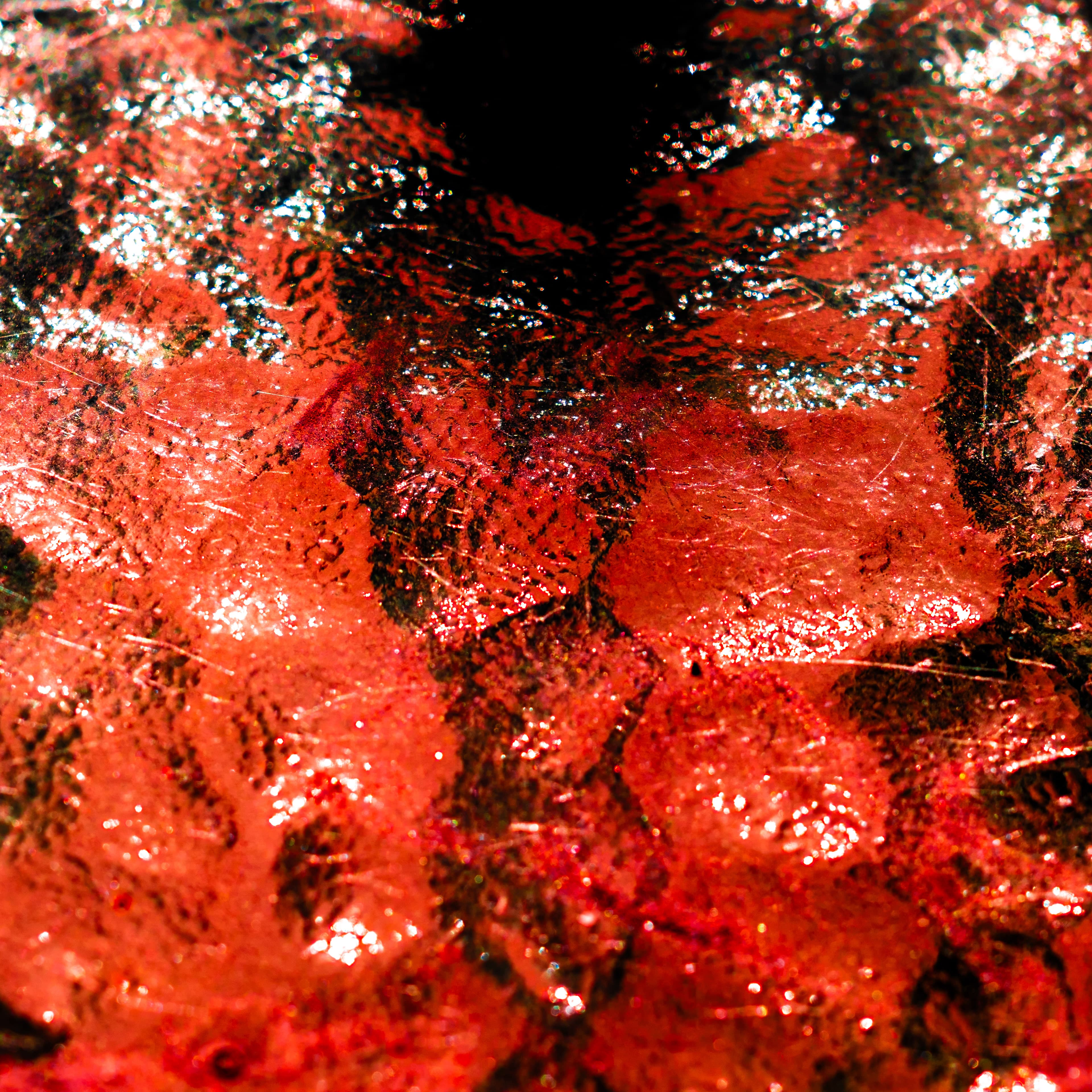 Fine-Art 124