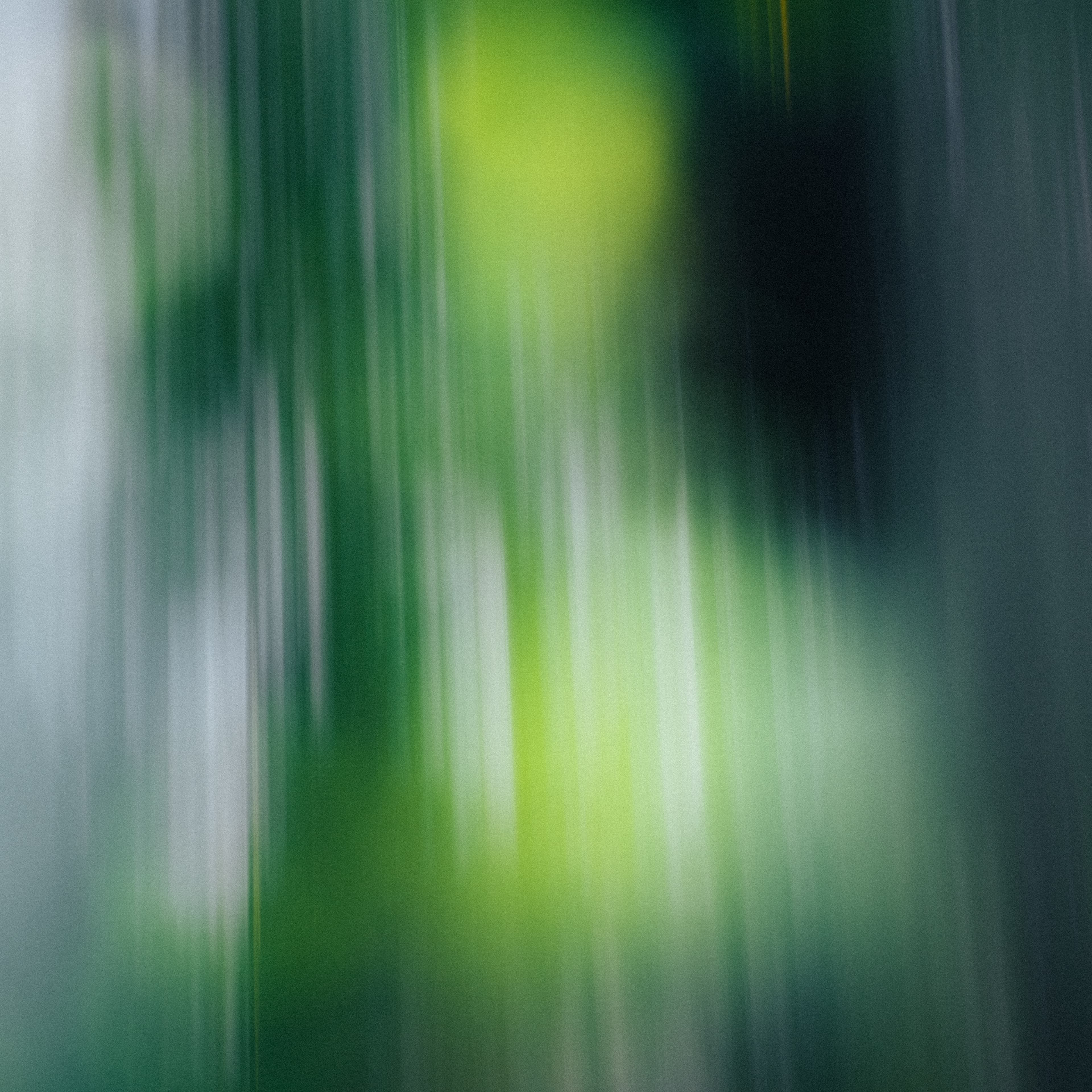 Fine-Art 184