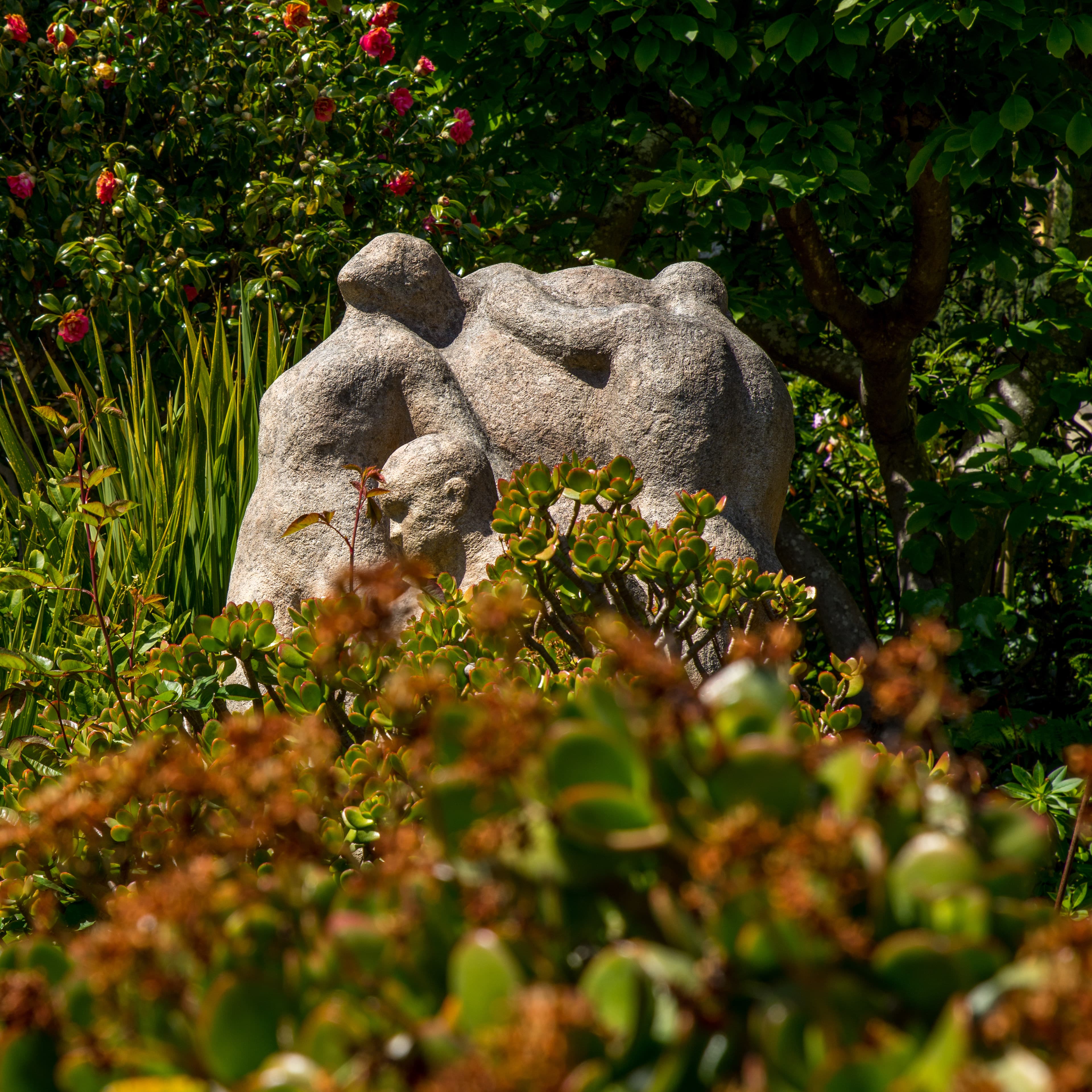 Fine-Art 126