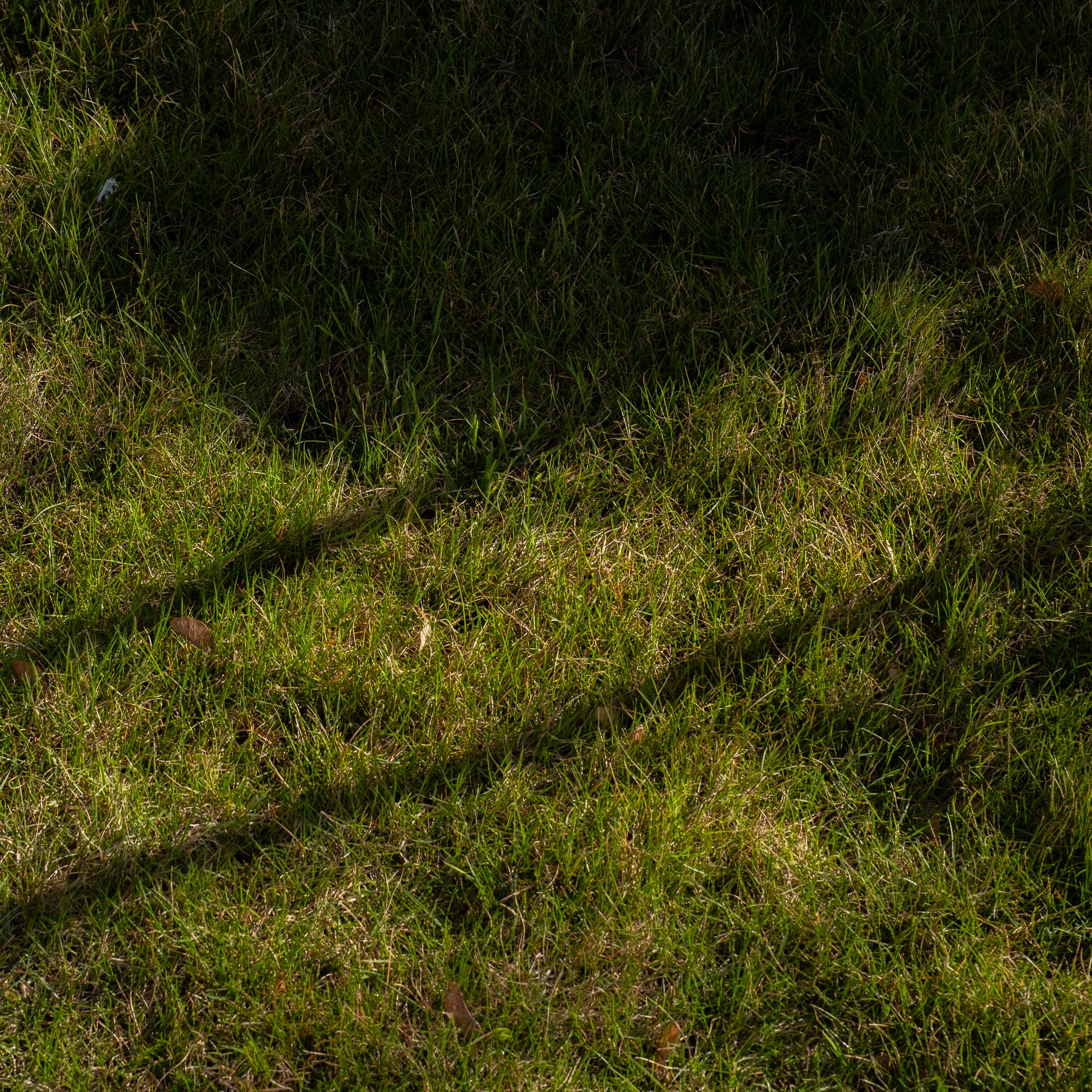Fine-Art 147