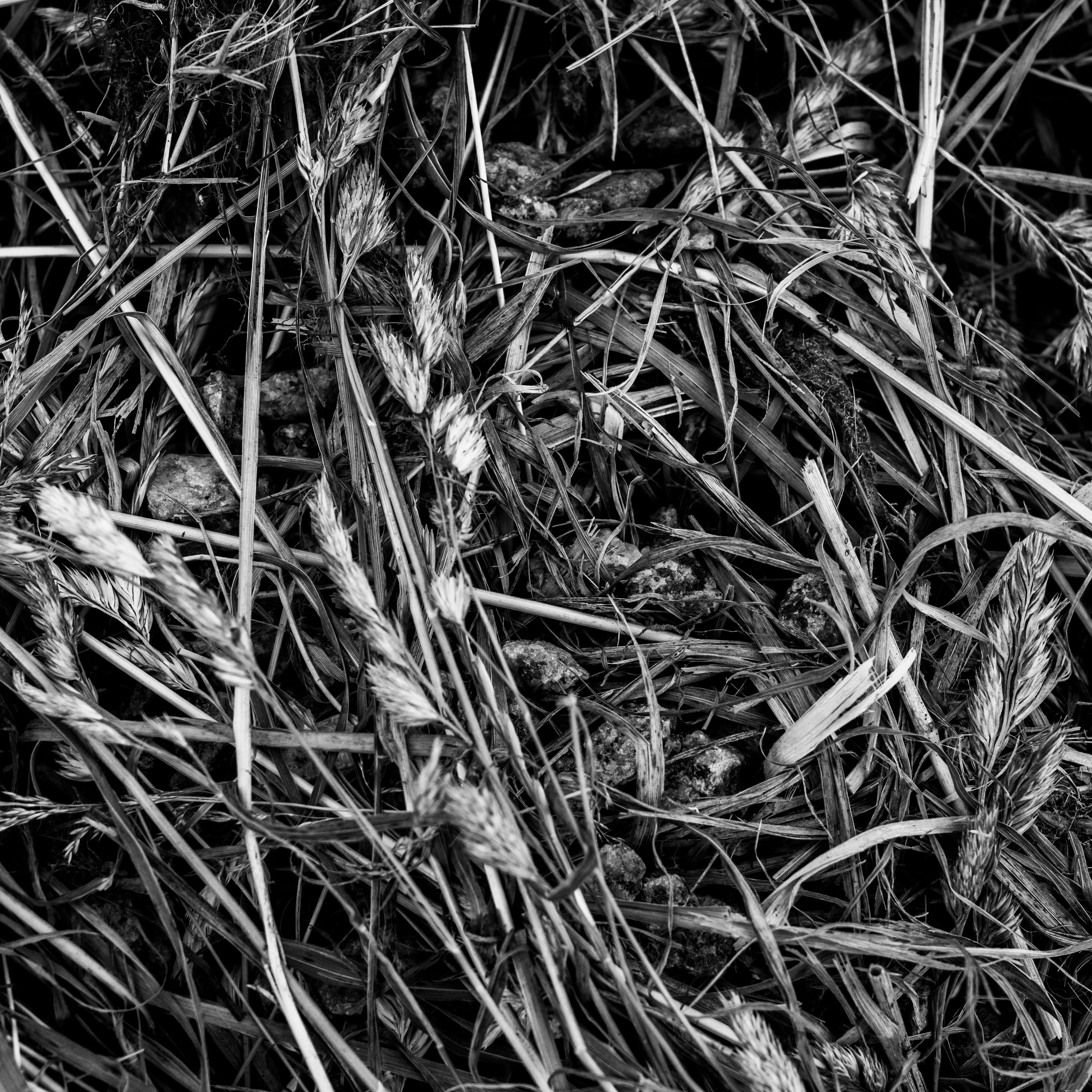 Fine-Art 70