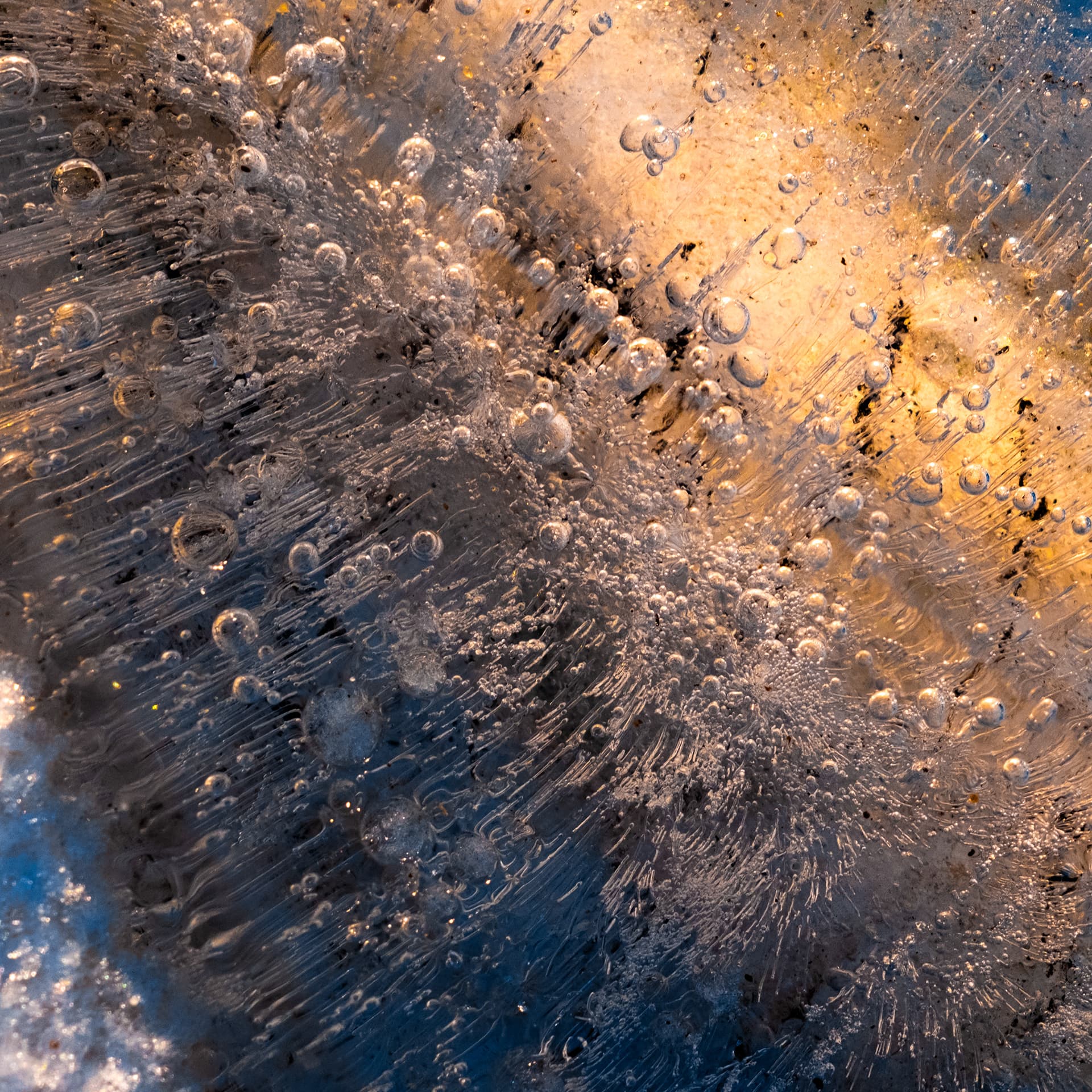 Fine-Art 73