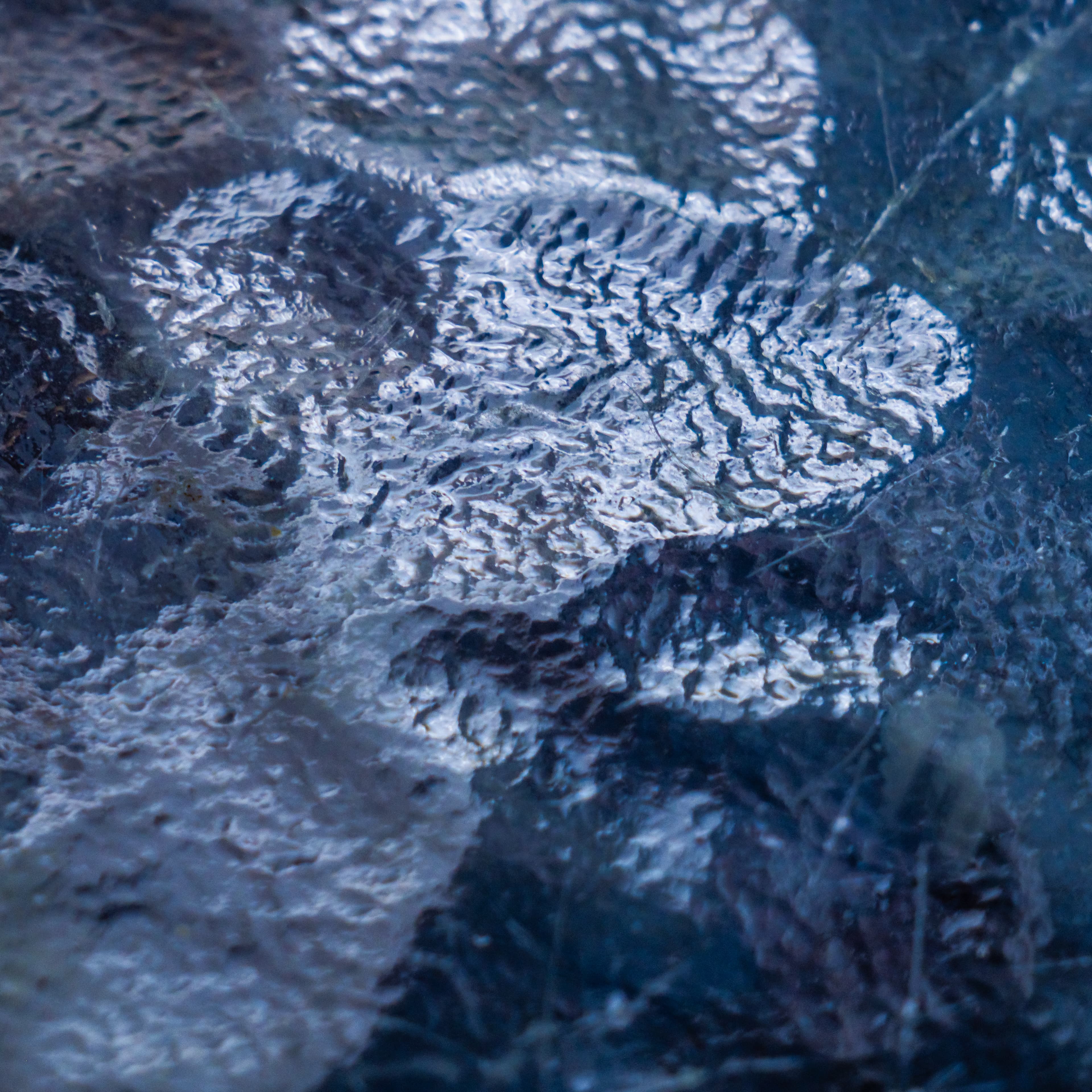 Fine-Art 85