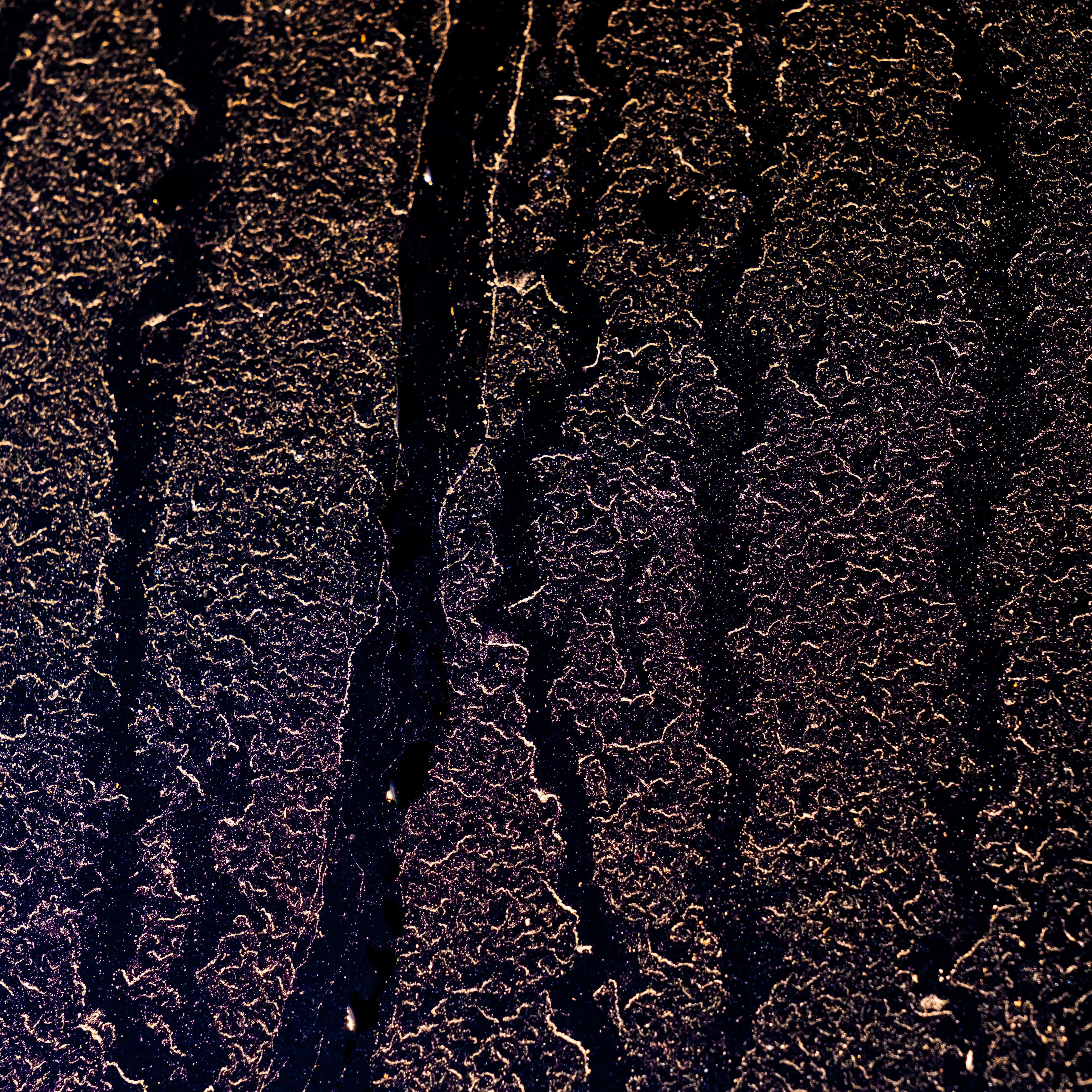 Fine-Art 205