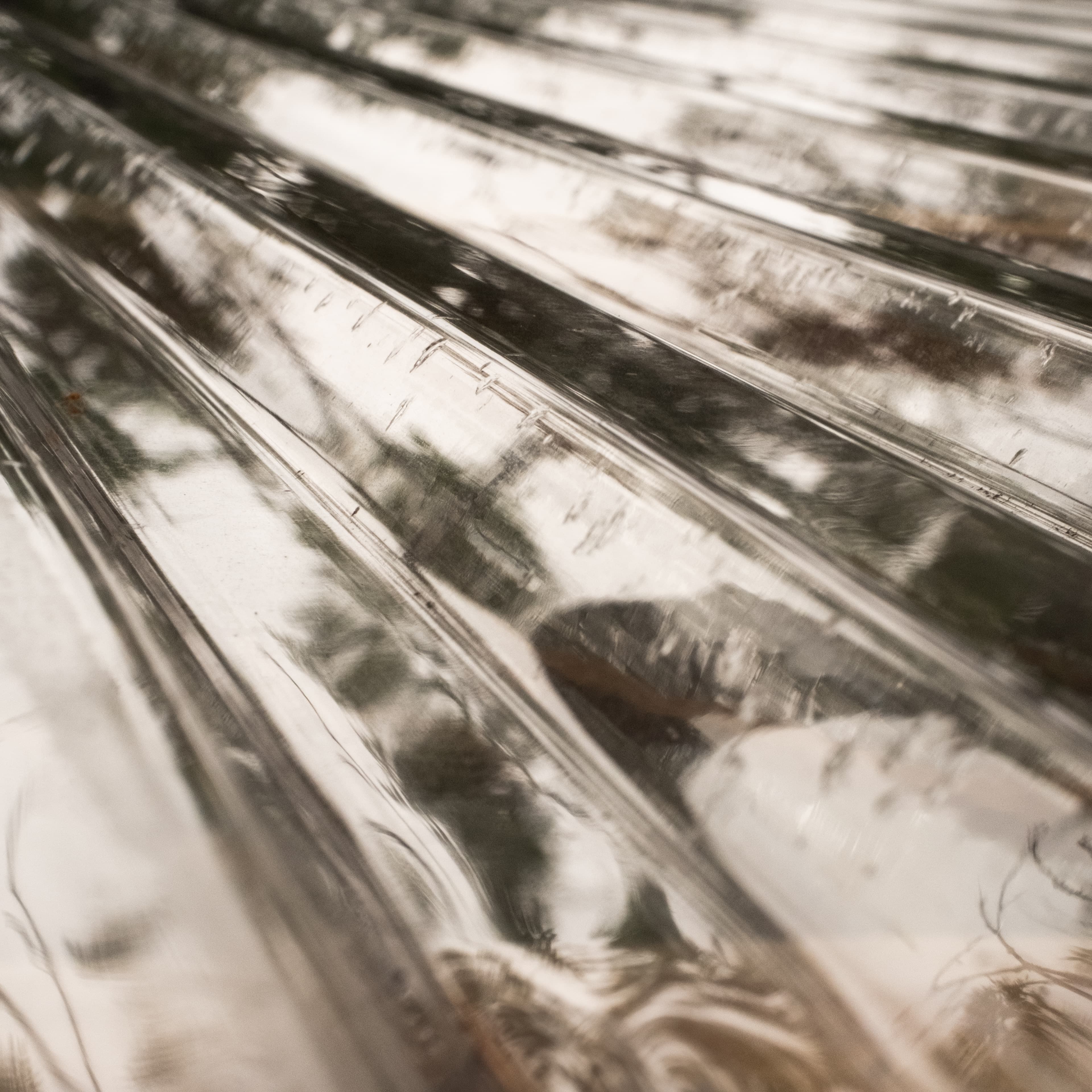 Fine-Art 219