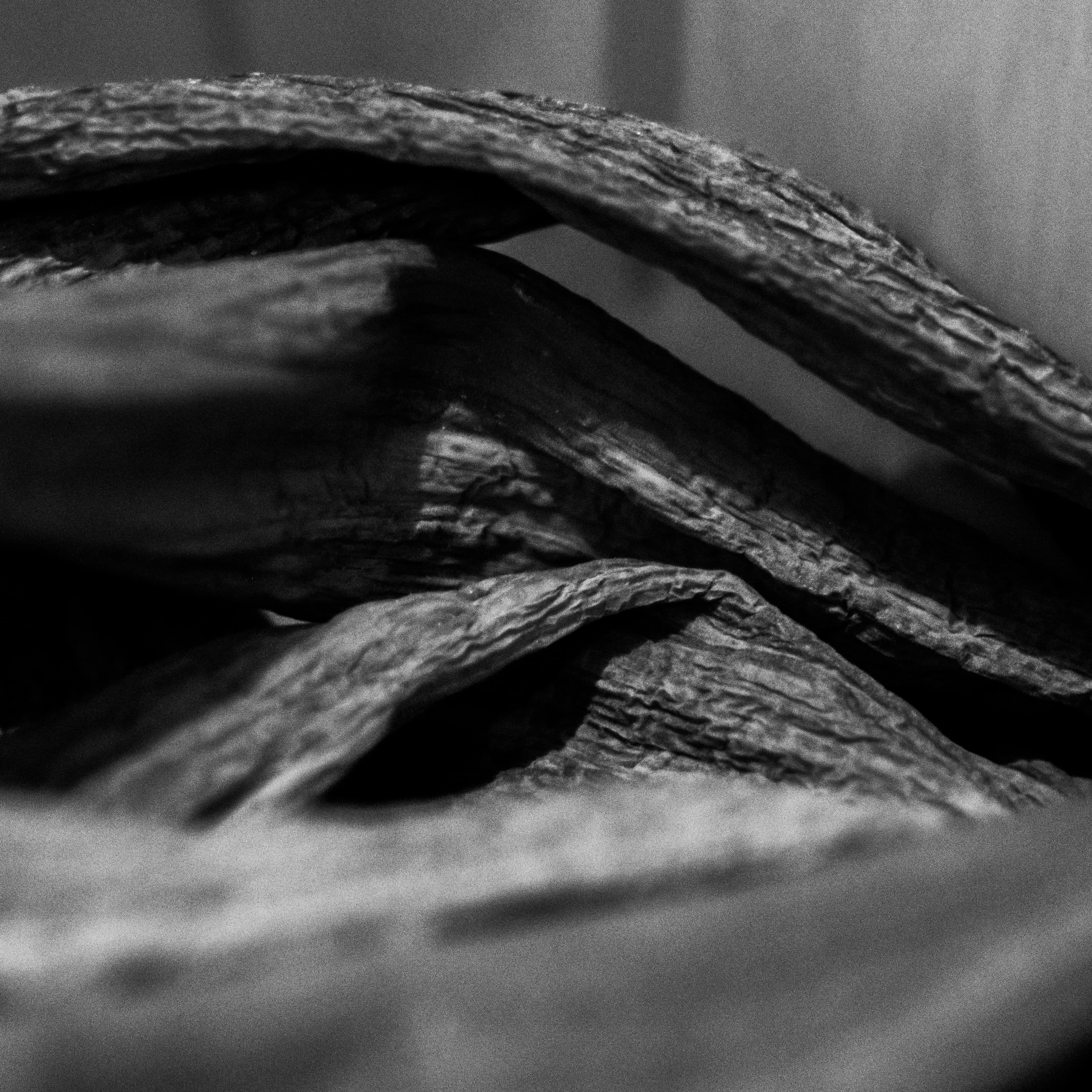 Fine-Art 208
