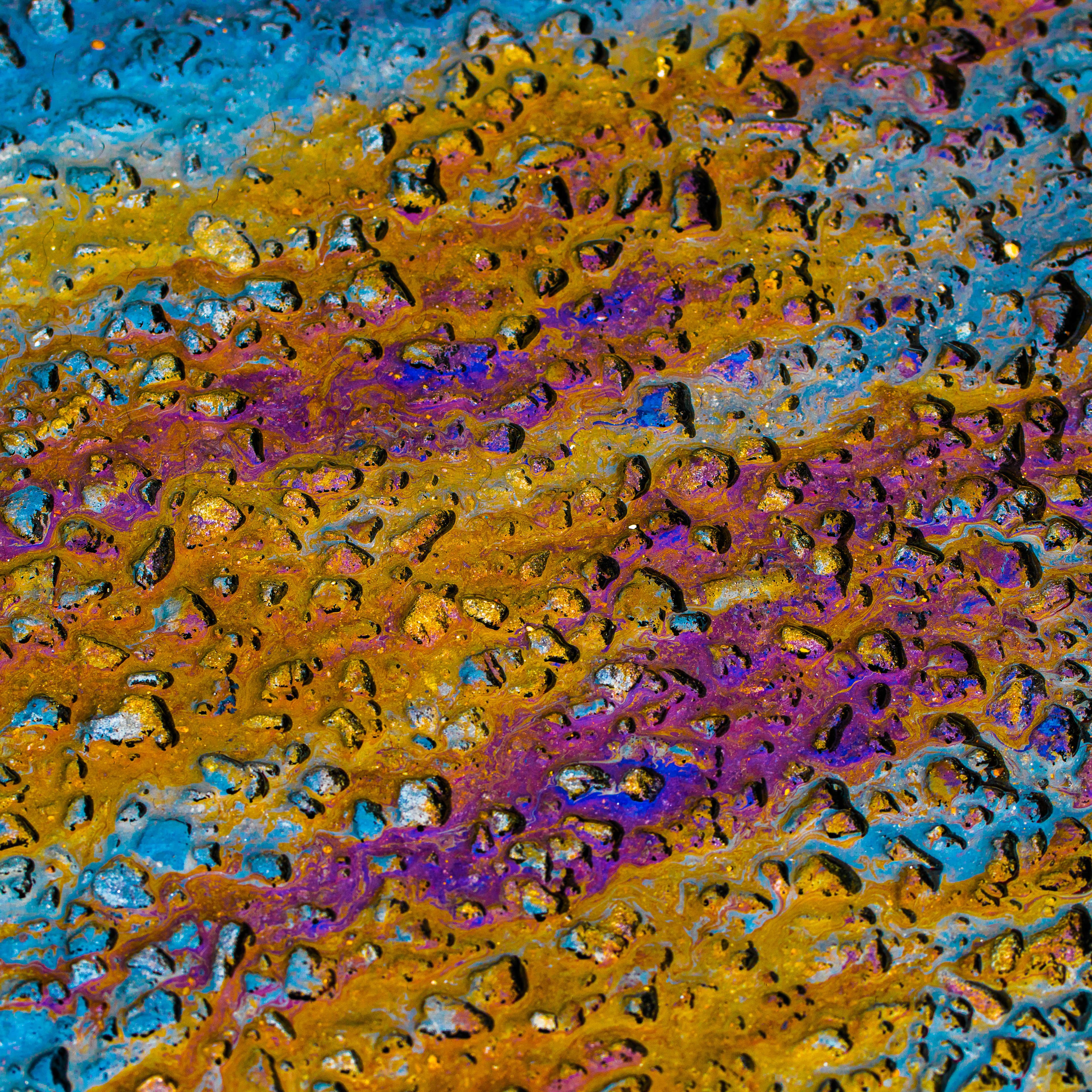Fine-Art 220