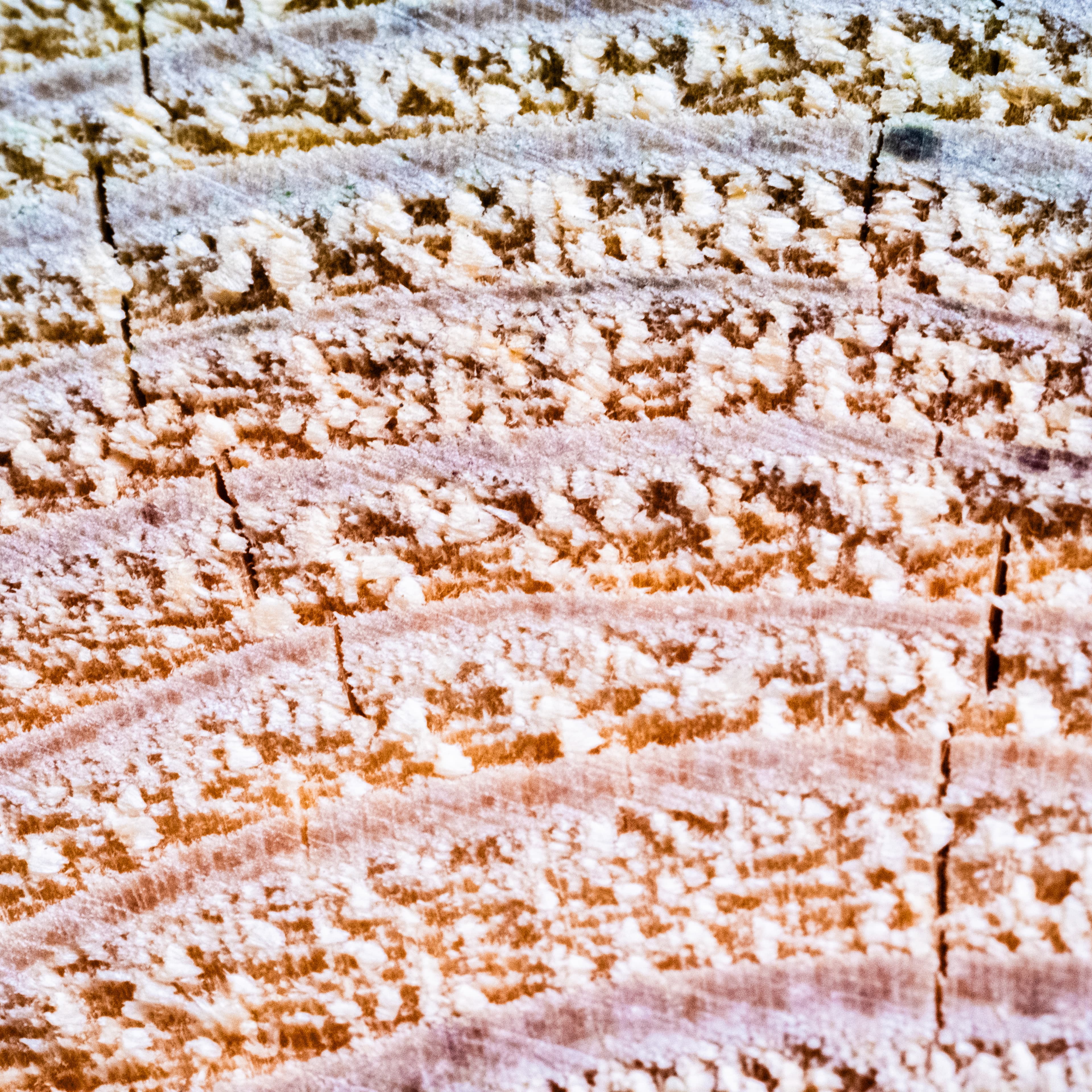 Fine-Art 210