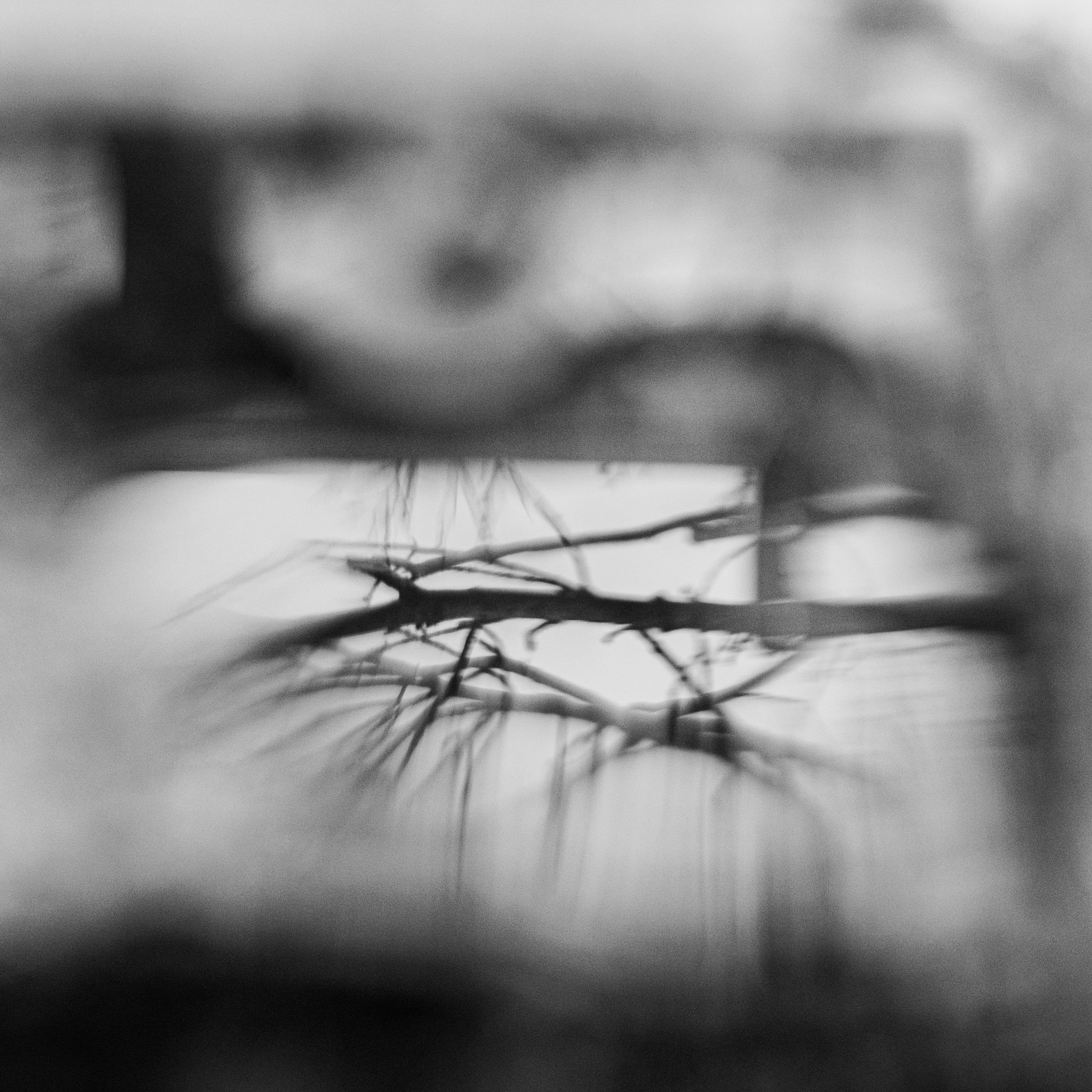 Fine-Art 229