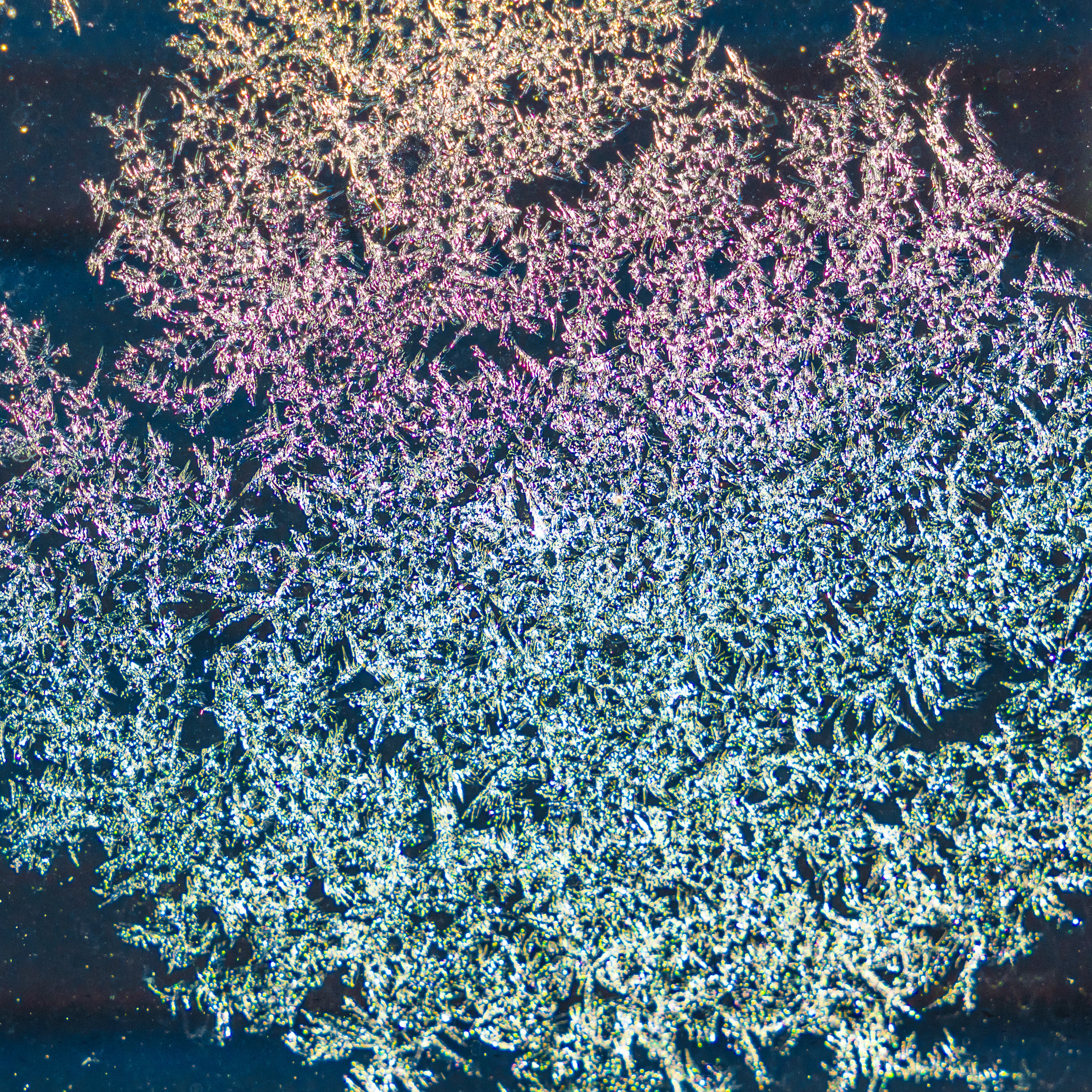 Fine-Art 238