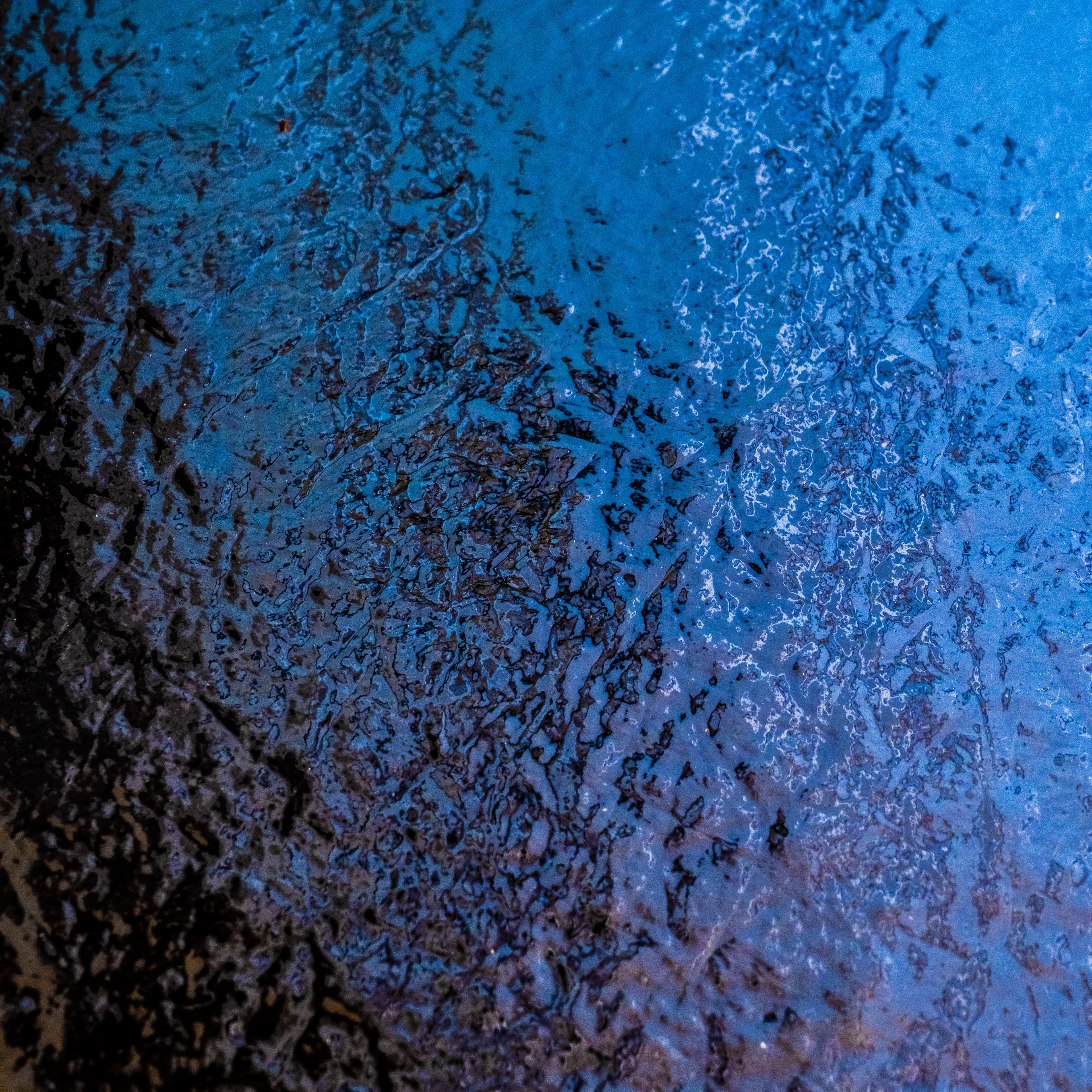 Fine-Art 239