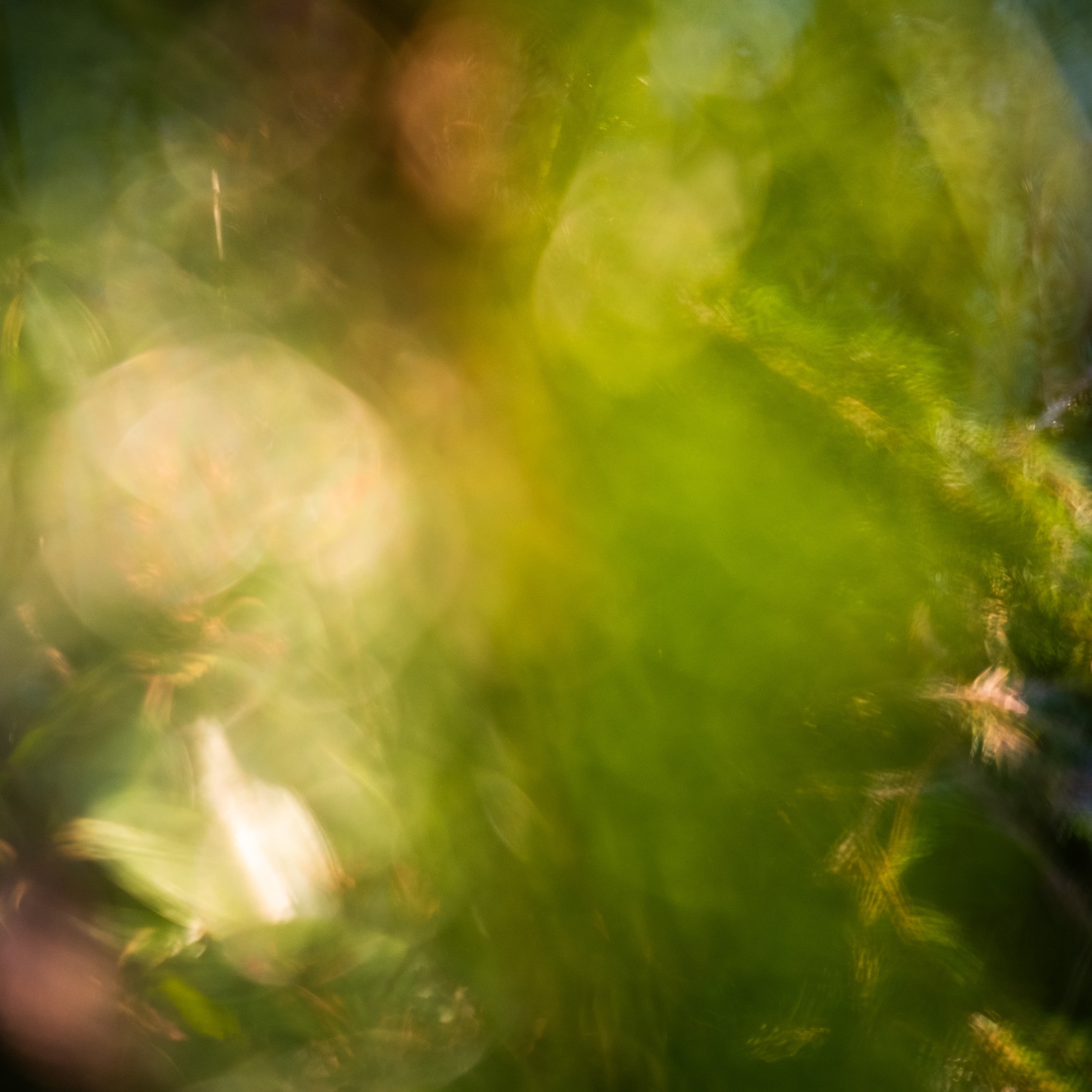 Fine-Art 246