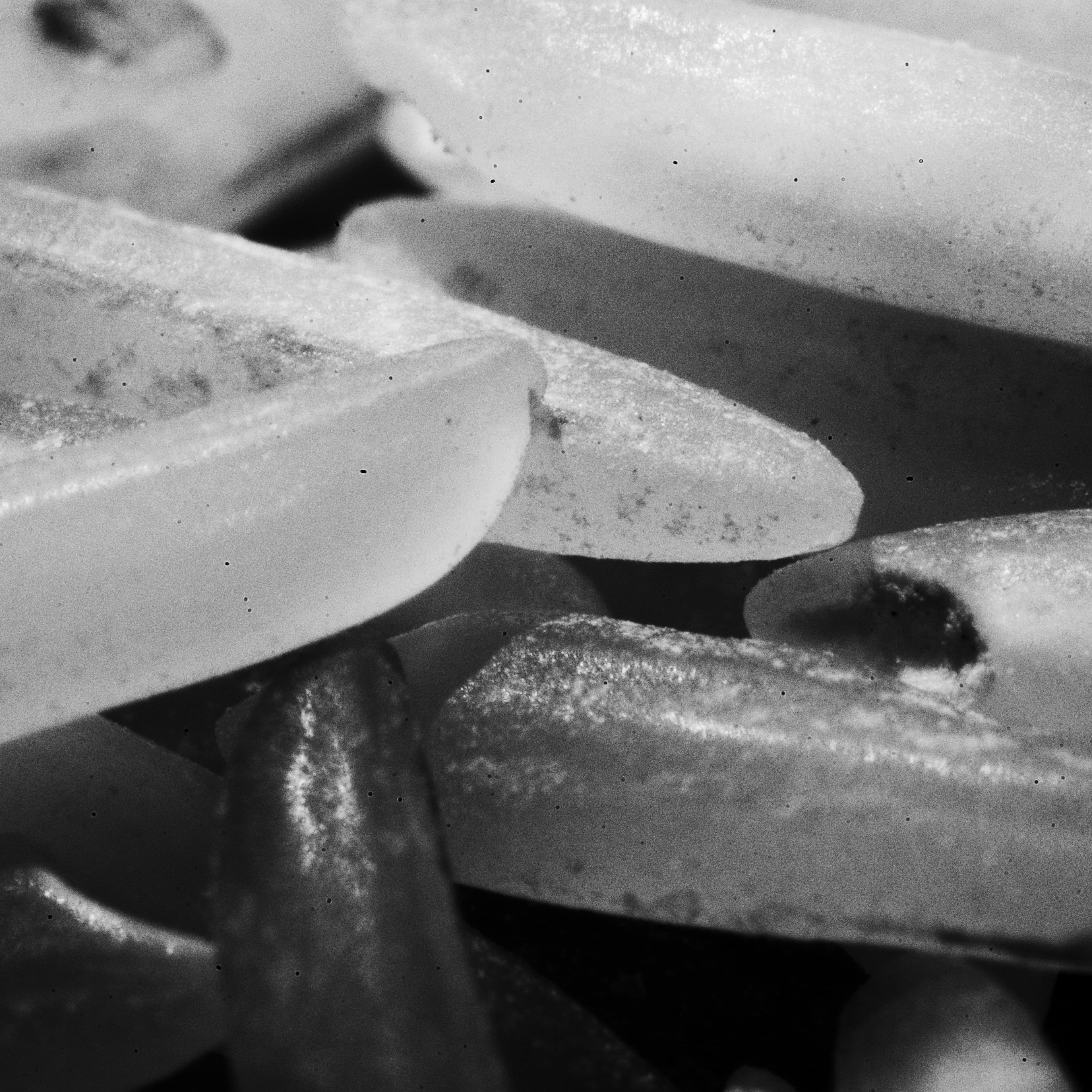 Textures We Forget 1
