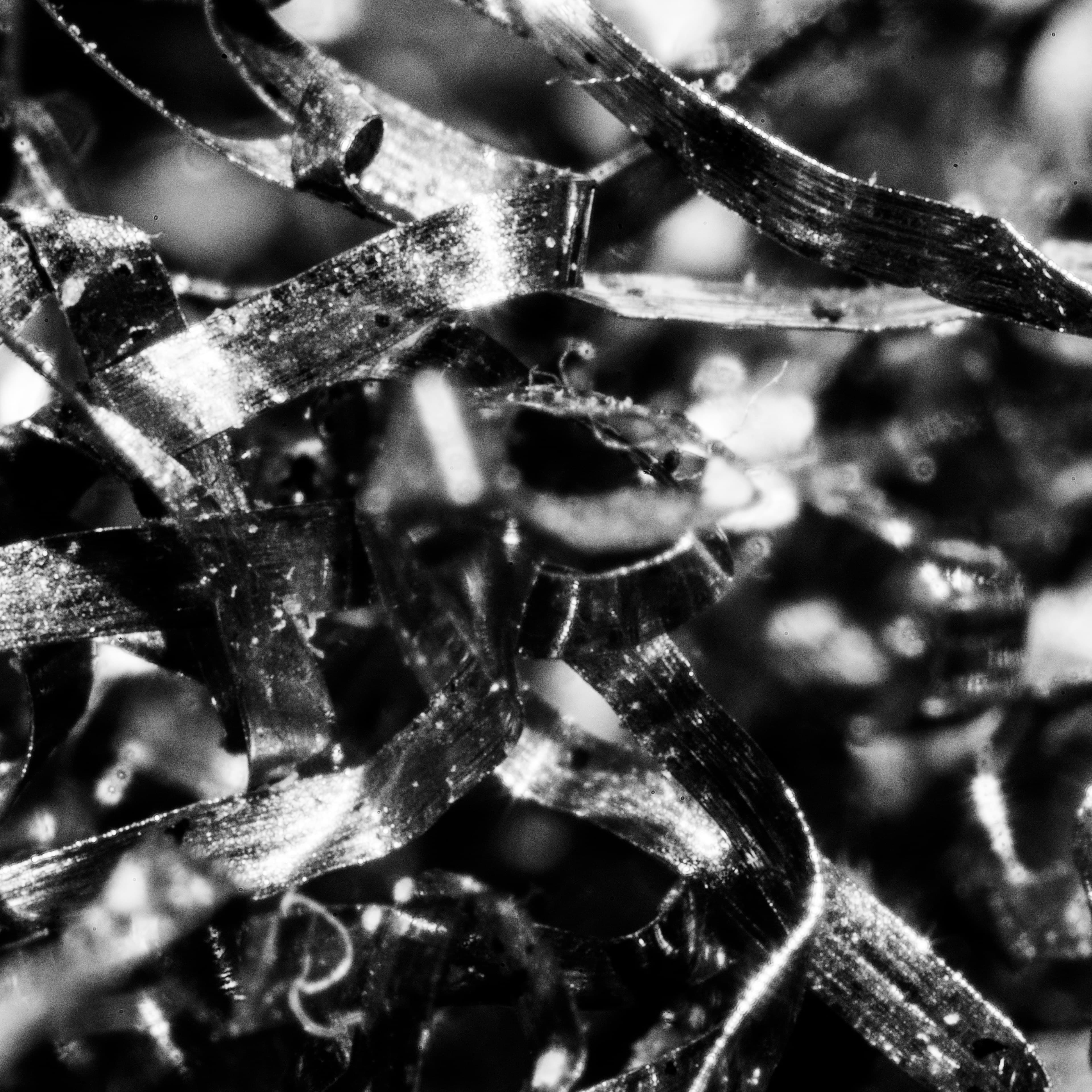Textures We Forget 6