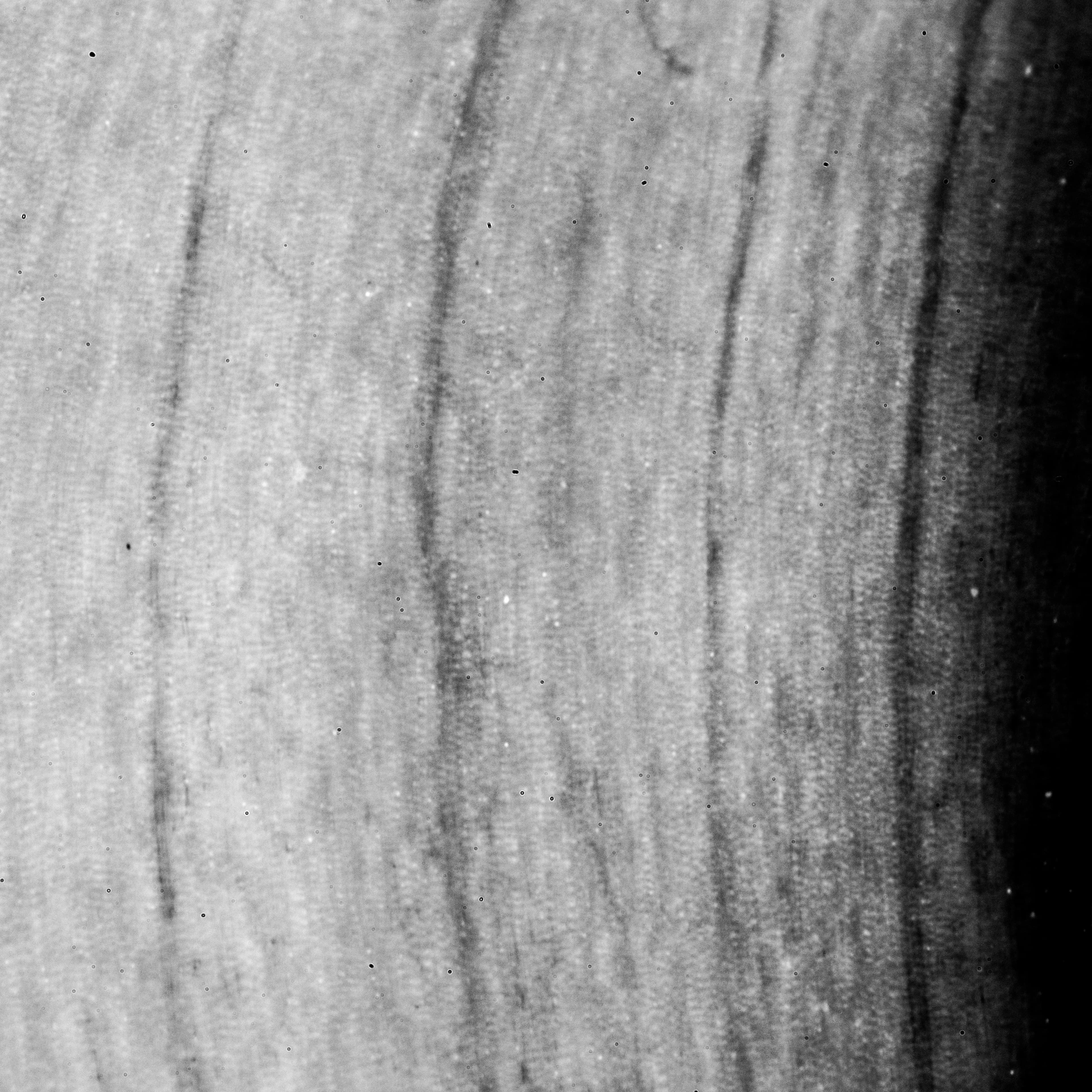 Textures We Forget 13