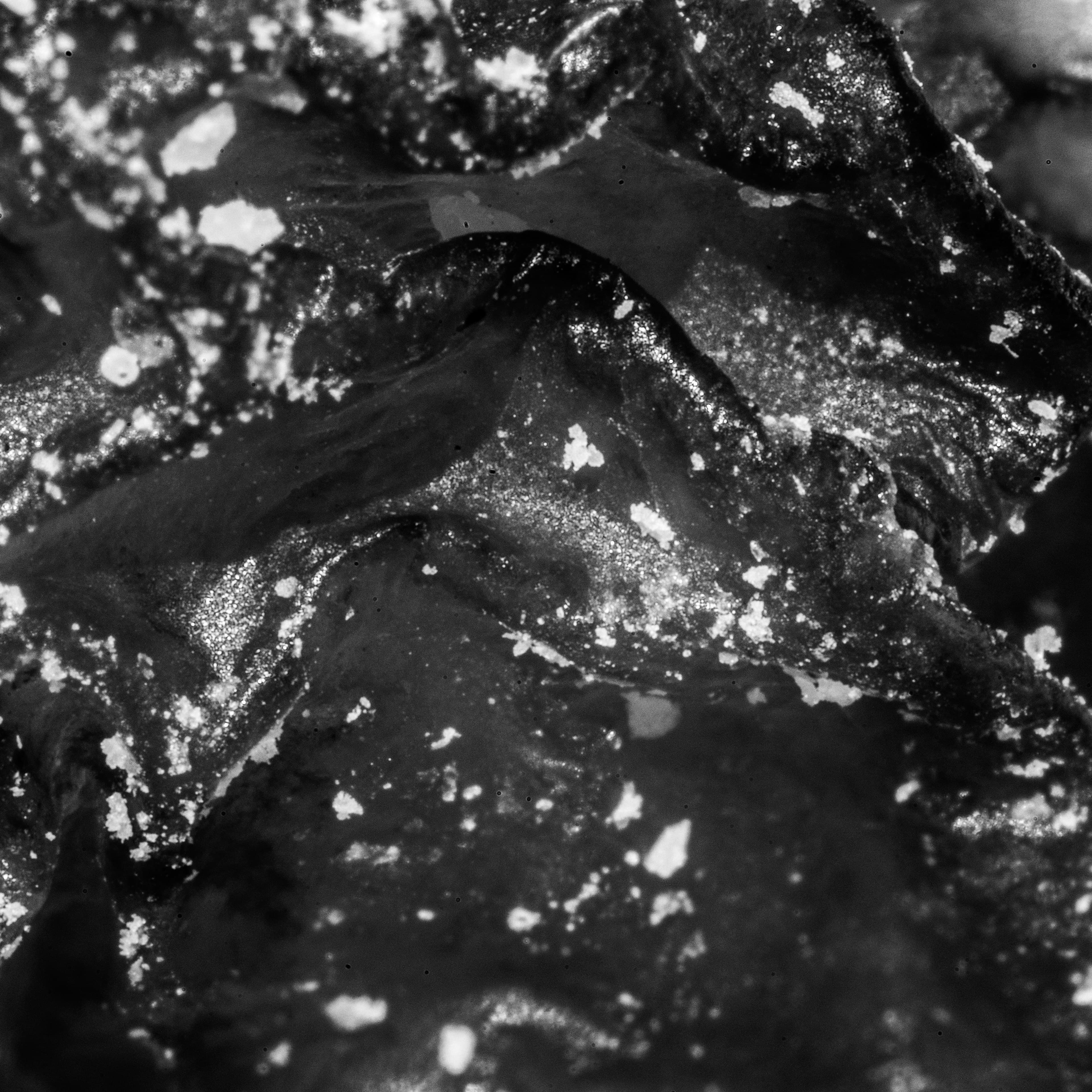 Textures We Forget 15